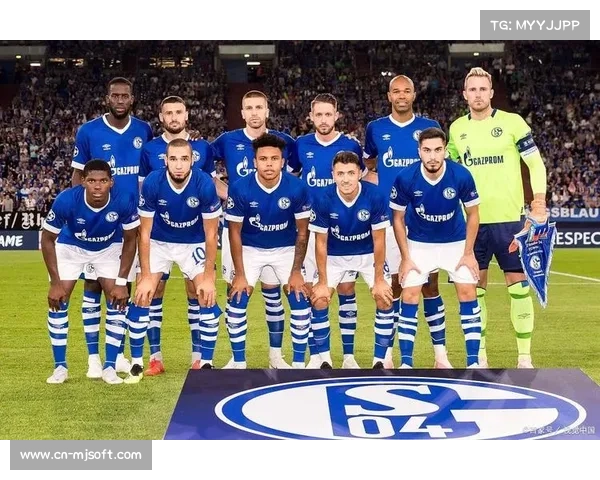 沙尔克04锋线新援亮相,备受期待